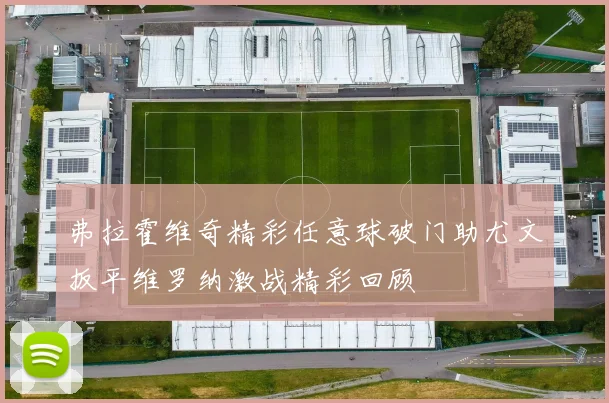 弗拉霍维奇精彩任意球破门助尤文扳平维罗纳激战精彩回顾